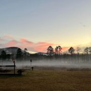 Deerwoode Reserve | Misty sunrise, field, trees.
