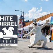 Deerwoode Reserve | White squirrel weekend in charlotte, north carolina.