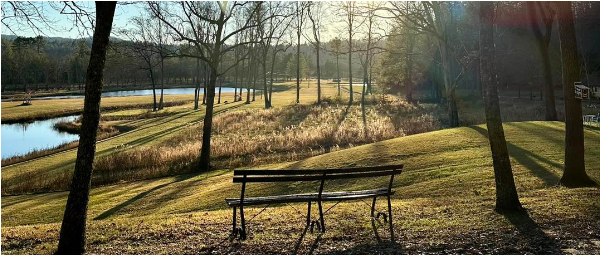 Deerwoode Reserve | A bench sits on a grassy hill overlooking a pond.