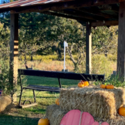 Deerwoode Reserve | Hay bales and pumpkins in front of a gazebo. [hay bales, gazebo]