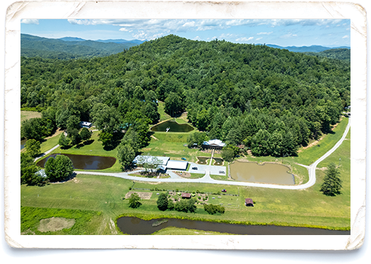 2026-deerwoode-explore-area - Deerwoode Reserve Aerial view of a park with wooded hills, winding paths, a small pond, and buildings by the water.